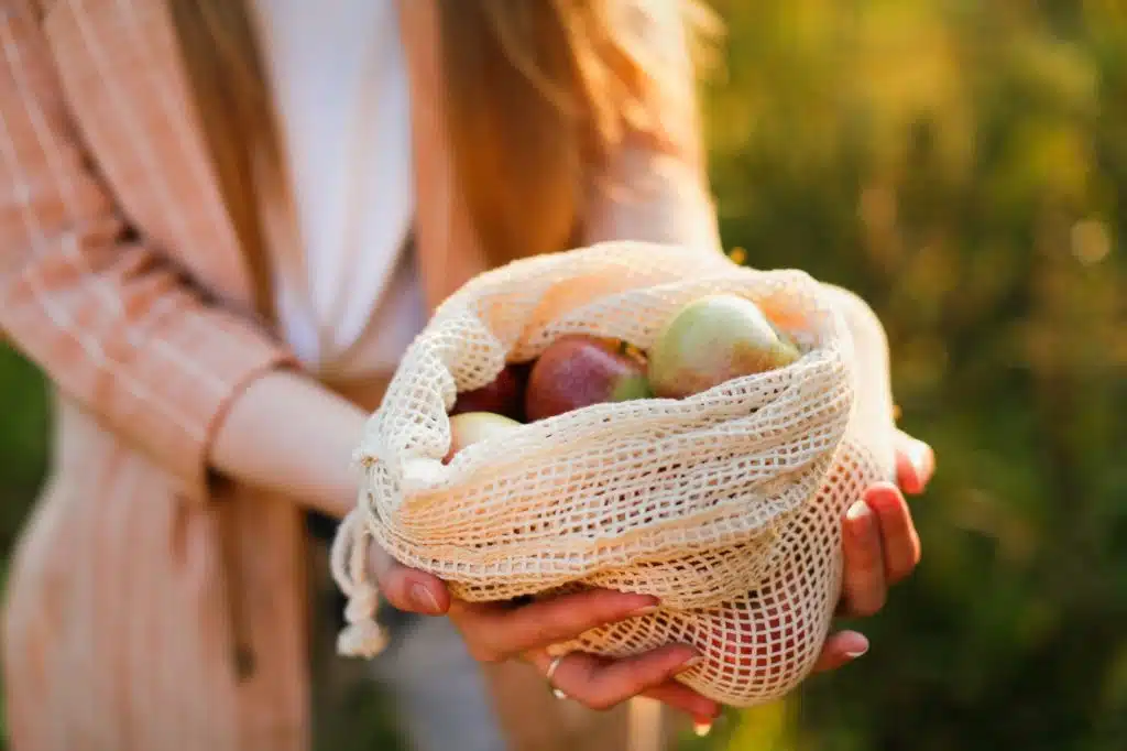 Fresh garden apples in a bag in the hands of a woman, in a mesh bag. Conscious consumption