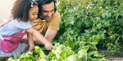 Gardening, father and girl in backyard with plants, teaching and learning with agro growth in natur